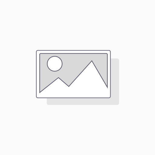 VALIANT BOY